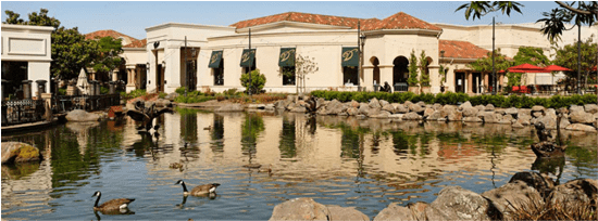 Blackhawk Carpet Cleaning,Blackhawk Hardwood Cleaning, Blackhawk Carpet Cleaner, Walnut Creek Carpet Cleaner, Walnut Creek Carpet Cleaning, Alamo, Diablo, Walnut Creek, Carpet Cleaning, Carpet Cleaner, Hardwood Cleaning, Stone Cleaning, Tile Cleaning, Grout Cleaning, Pet Odor, Pet Stain